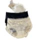 French Style Pure Transparent Underwear Women's Sexy Beautiful Hip Mid-Waist Bow Mulberry Silk Bottom Crotch Women's Trip