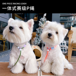 P-Chain Dog Leash for Small Dogs, Training Leash for Medium-Sized Dogs, Specialized Puppy Training Leash, Competition-Grade Wholesale
