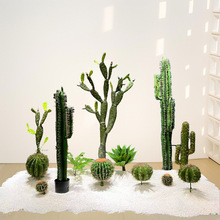 ���������ƴ��͟Ꭷֲ������������GֲɳĮ�쾰�����Gֲ���Ԕ[��