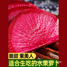 紫美人水果萝卜甜脆水果型青红皮凤梨沙地潍坊心里美萝卜新鲜