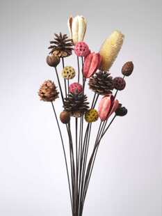 �ֹ�С�ɻ��滨����ɻ������͏d�[�O����L�ɹ��b����յ���