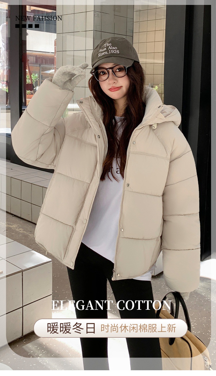 1_01.jpg