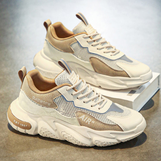 Cross-border Summer Men's Shoes Breathable 2024 New Thin Mesh Mesh Shoes Trendy Casual Sports Running Torre Trendy Shoes