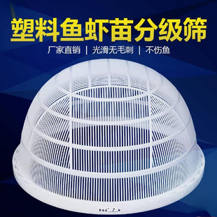 Sieve fish to plastic classification grading loach toward sieve inch yarn large crayfish fry shrimp fry fish sieve other