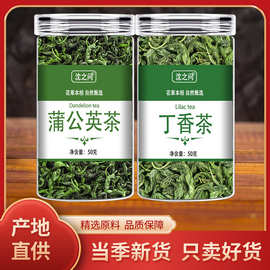 沈之问蒲公英丁香茶四季泡水喝的东西男女生无硫养生花茶官方店