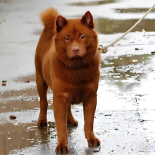 ���N��tȮ��Ȯ���w����С���pѪ�y��ڌ���Ȯ���A��@�o�lȮ����