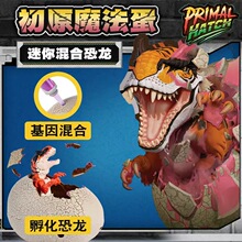 ٪�_�o�������������������������ԭħ���������Ͽ�����ͯ���