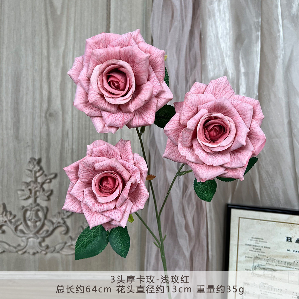 TY-3 มอคค่า โรส - ไลท์ โรส เรด