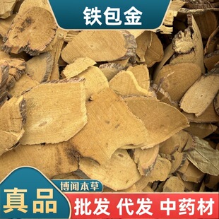 �F����ș�� ������ ������ ����� ������ ����� �����^��ʯ��