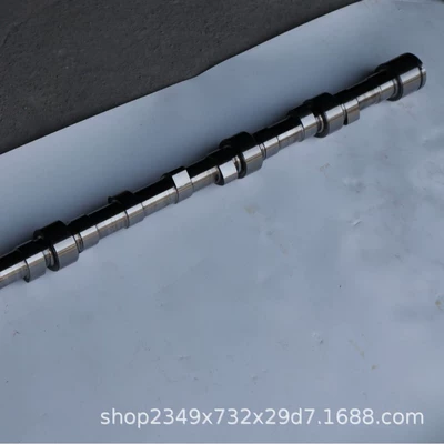 6121 Engine Camshaft 09Al001 – Crankshaft, camshaft