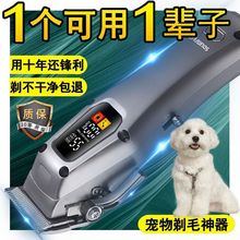 ���M�ڹ�����ë���o����ꌣ�����������Lë؈����Ƽ�