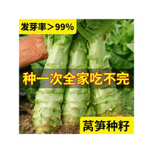 �n�ķN������~�n�S�ļ��n�ķN���n�S�˷N�����ﶬ�r���߲˴�ȫ