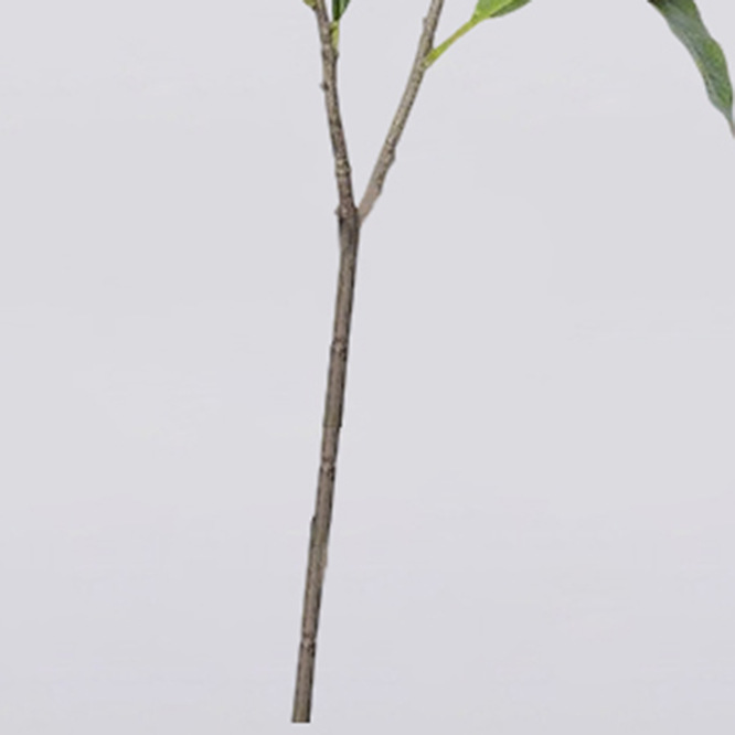 Simulación de plantas verdes, ramas de mango, frutas, decoración interior del hogar, decoración, jardinería, ramas falsas, accesorios de fotografía de hotel