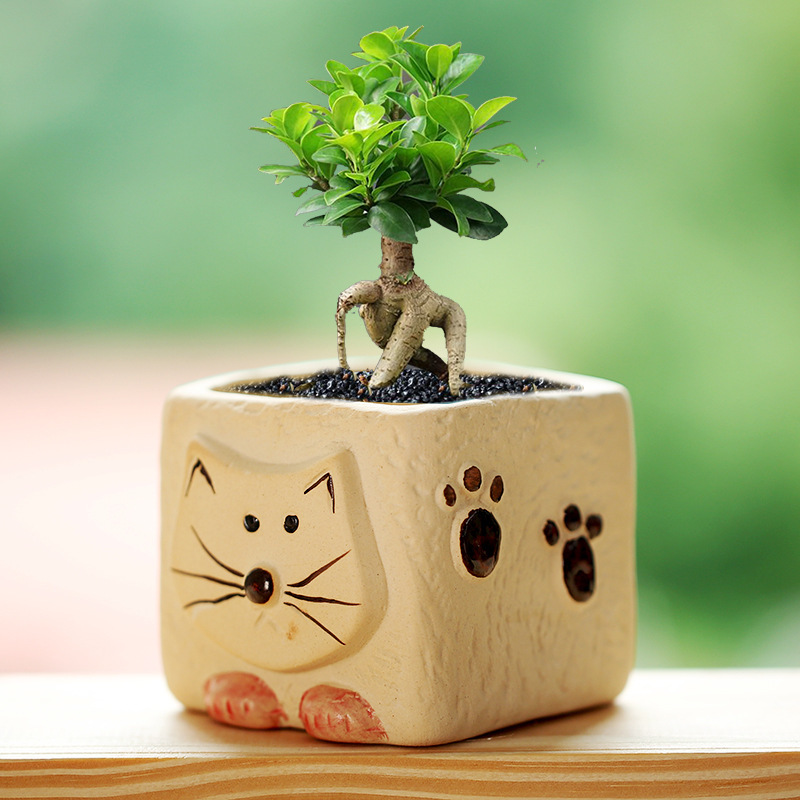 Creative Hand-Painted Succulent Flower Pots, Coarse Pottery Pots, Special Price Ceramic Indoor Succulent Small and Medium Flower Pots, Clearance Wholesale Street Stalls