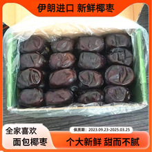 dates iran NATURAL新鲜黑蜜枣特产天然椰枣 盒装面包枣 伊朗椰枣