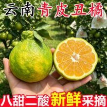 正宗云南青皮丑橘新鲜青皮橘子9斤耙耙柑桔当季时令孕妇水果整箱
