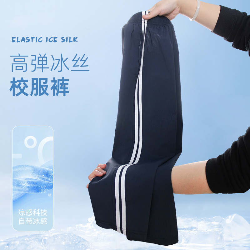 Boys' Summer Thin School Uniform Ice Silk Pants Children's Navy Blue Two-Stripe Straight-Leg Elementary School Girls' Sports Pants