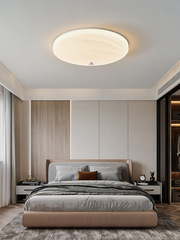 Modern Minimalist Bedroom Ceiling Lamp 2024 New Model Versatile Room Wardrobe Romantic Warm Stylish Ceiling Lamp