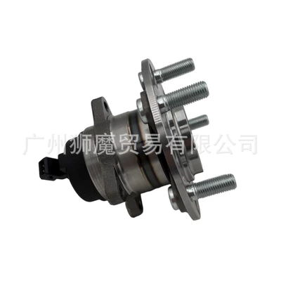 Bearing the rear wheel hub