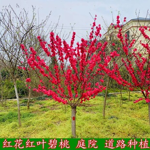 ���~���Ҙ���ǧ�~�һ����^�p�һ���ͥԺ�G�����Ի��ܼ޽Ӽt�~����