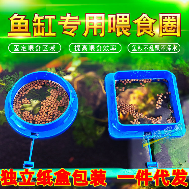 Fish feeding circle fish tank floating feeder feeds to eat circle…