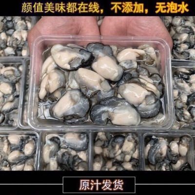 新鲜生蚝肉鲜活广东现剥去壳即食牡蛎肉海蛎子肉海鲜全国包邮批发|ru