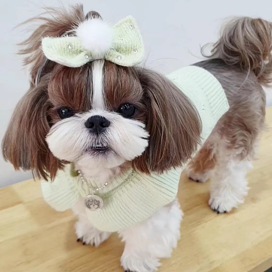 En stock Navidad invierno Nueva gama alta perro mascota de la Cachemira loto collar suéter suave ropa de lana