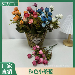 ������ɫС��� С�ѻ���õ�ҾӾƵ�����[���b������ٻ����l
