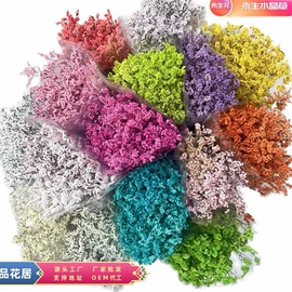 永生花;鲜花花艺制品;干花