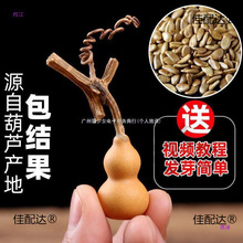 ���J��С���J�N�������������ˌ���ȫ�����^�p�ش�̖���ͺ��J�N��