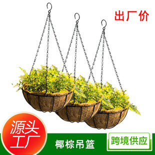 Դ�^���SҬ�ص���͸�⻨��Ғ�ʽ���m������滨��������ڒ���