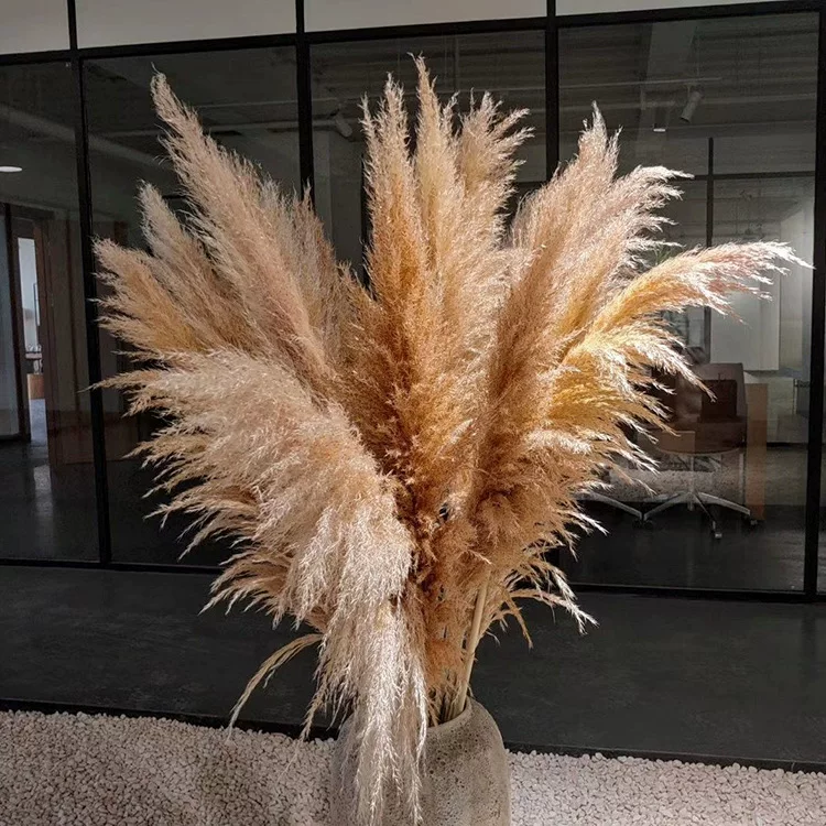 Гонгу Reed Flower десерт-магазин фоновый реквизит пушистая трава Пувей сухие цветы тростник поставщик Amazon кроссборд