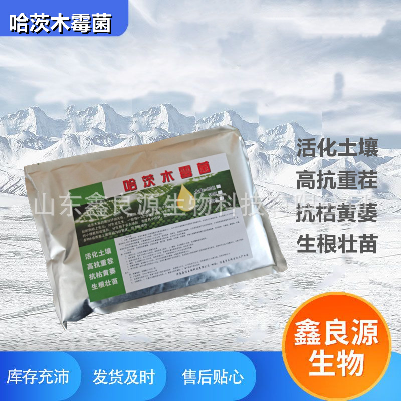 Hatzbu Mold Rhizure Rhizoma to improve the soil Harts Mold Mold…