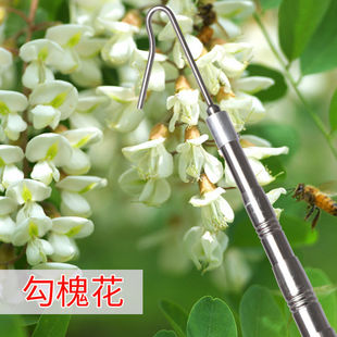 Stainless Steel Telescopic Redbud Hook, Redbud Pole, Sickle Pole, Redbud Picking Tool, Telescopic Fruit Picking Tool Accessories