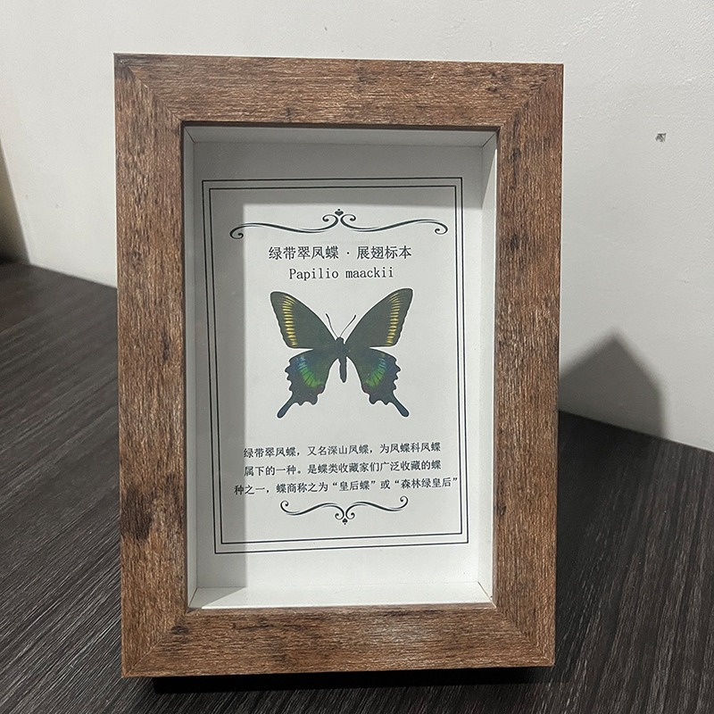 Do old insect specimen photo frame butterfly frame hollow 2cm real glass diy dried flower handmade animal specimen frame manufacturers