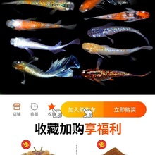 �۱�������������ˮ����ħ����С�ͽ�����㵭ˮ�㲻������������