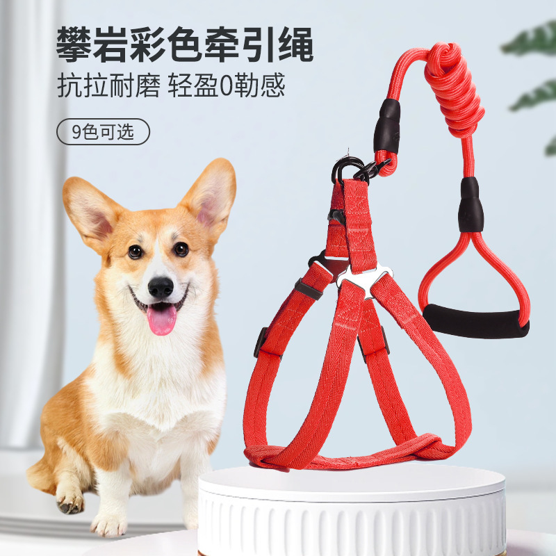Nueva correa para perros, cuerda para perros de tamaño mediano, cuerda p, cuerda para pasear a su perro, cuerda para perros, cadena para perros para mascotas, fábrica al por mayor