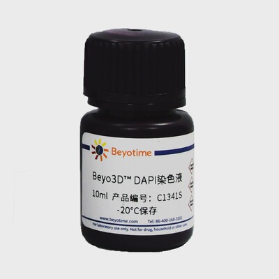 Beyo3D™ DAPI染色液 C1341S C1341M 碧云天