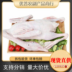 10斤大雁鹅新鲜大雁鹅散养老鹅鹅肉整只鹅雁鹅非东北鹅超大笨雁鹅