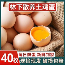 40枚土鸡蛋农家土鸡蛋笨鸡蛋散养蛋虫草蛋现捡现发新鲜土鸡蛋批发