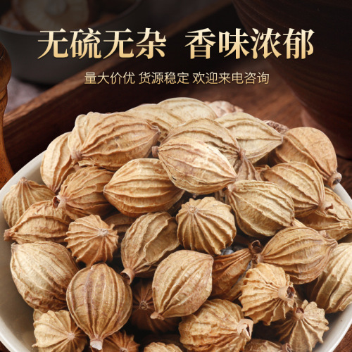 Spices Sichuan Xiangsha Ren Mao Sha Ren 500g Guizhou Xiangsha Yizhi Ren stewed meat Yangchun Sha Ren braised dishes spice