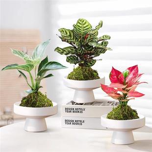 ̦�\��ˮ��ֲ���K��荿͏d�҃�ˮ�B�Gֲ�k���һ��������ļ����B��