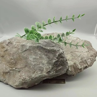 Manufacturers Supply Stream Pieces, Rocks, Fish Tanks, Gardens, Courtyards, Rockery, Bonsai Landscaping, Various Specifications Are Complete