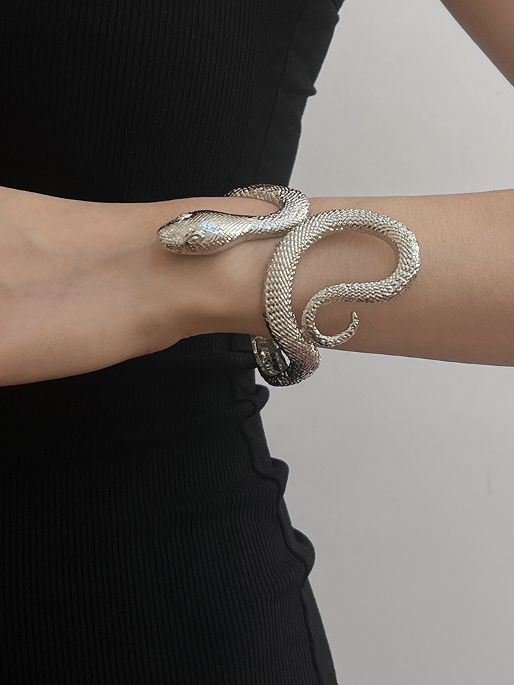 Rétro Serpent Alliage De Gros Bracelet display picture 1