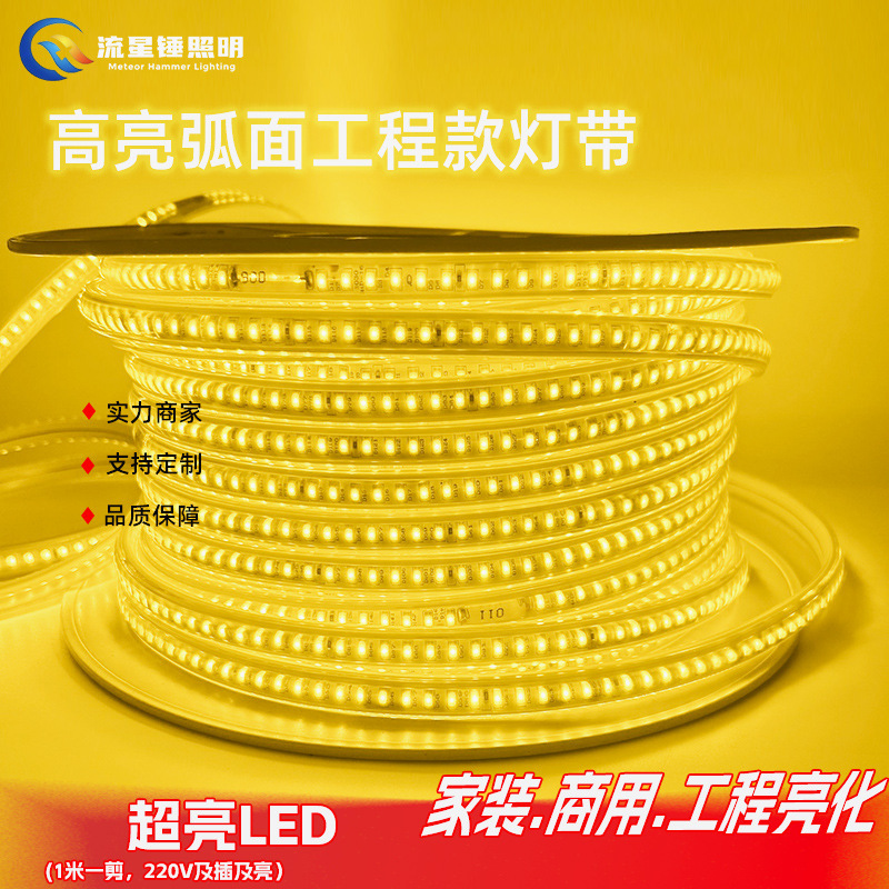 220V Light Strip Led Ceiling Recessed Light Line Light Outdoor Rainproof Lighting Super Bright High Voltage Flexible Soft Light Strip