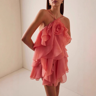 2025��羳���Q�¿��Ըж�ȹ�첱���w���佉���o����~߅�B��ȹ