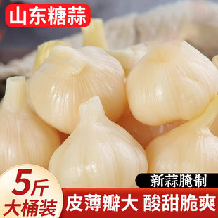 ���������Ǵ���5�������^�������������Ǵ״��������^����ݲ�