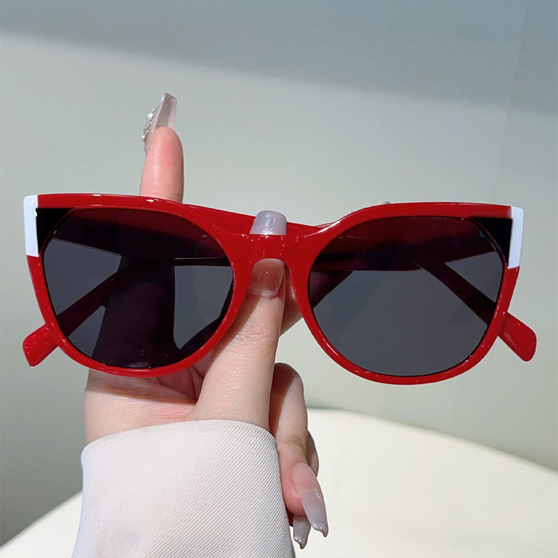 2025 New Model Personalized Color-Block High-End Sunglasses, Popular Among Influencers, Slimming Effect For Street_voghion.com