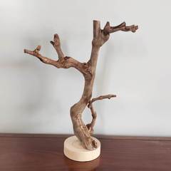 原木树枝树干装饰带底托摆件茶几摆设手工把玩首饰实木支架
