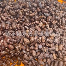 ����ľ�ְѼ�Խ��ɳ��ľ�ְѼ�ꎳ�ľ�ְѼ���ľ���ְѼ���ˇƷ